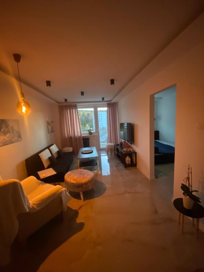 Z Balkonem I Widokiem Na Morze W Sopocie Blisko Opery Lesnej Apartment Sopot